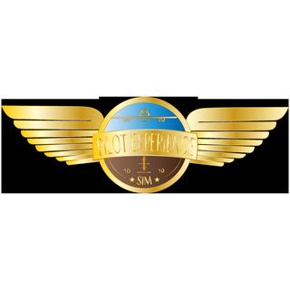 Pilot experience sim logo